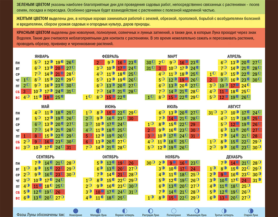Календарь «Светофор»